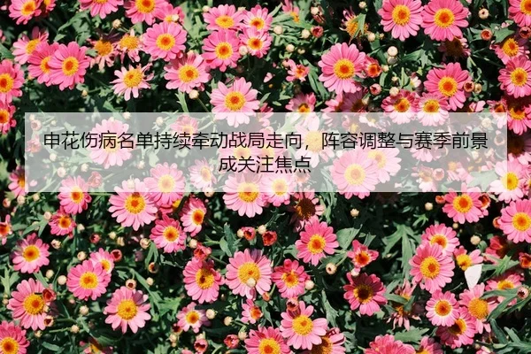 shen-hua-shang-bing-ming-dan-chi-xu-qian-dong-zhan-ju-zou-xiang-zhen-rong-tiao-zheng-yu-sai-ji-qian-jing-cheng-guan-zhu-2-922.jpg