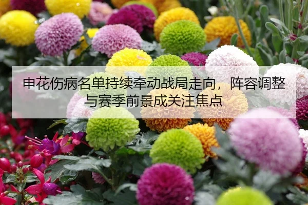 申花伤病名单持续牵动战局走向，阵容调整与赛季前景成关注焦点